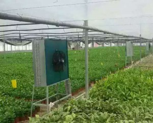 麻豆AV免费观看安装现场